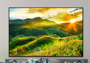 Cần Tránh Khi Chọn Tranh Treo Tường Hợp Mệnh Thổ